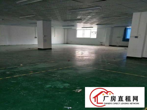 
		龙岗五联靠近中心城新出楼上500平带精装修
	