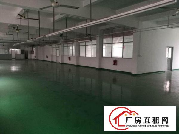 
		龙岗中心城厂房出租2000平方有消防带红本水电齐全
	