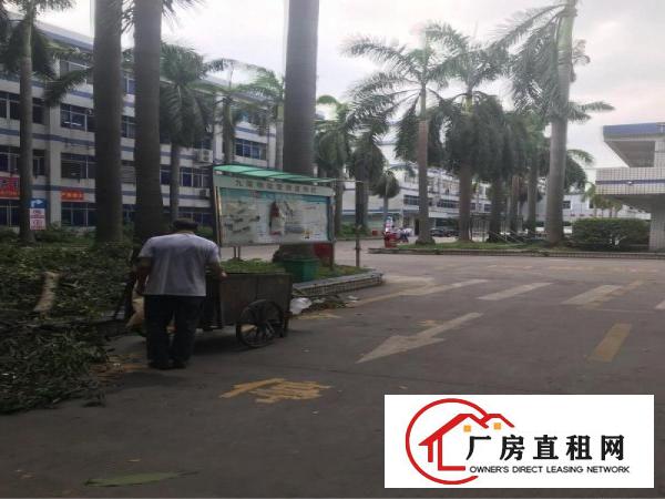 
		龙岗南联地铁口楼上红本厂房580平方米出租
	