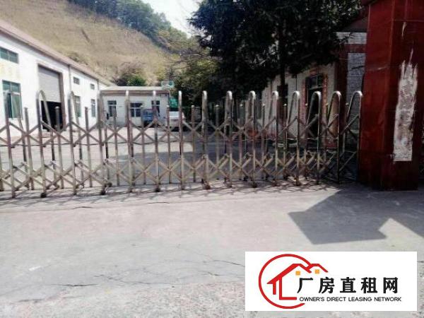 
		出租龙岗区龙东独院钢构厂房1200平方米
	
