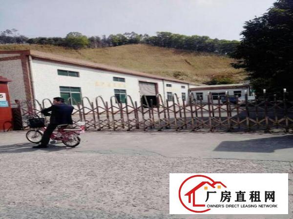 
		出租龙岗区龙东独院钢构厂房1200平方米
	