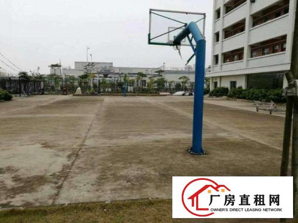 
		17元租龙岗高速出口原房东红独院厂房12800大小
	