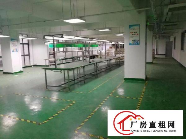 
		出租宝龙工业区，靠近龙岗比亚迪、赛格导航附近办公厂房
	