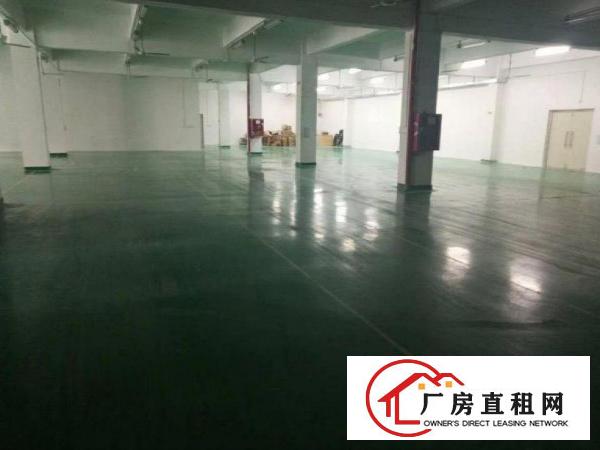
		龙岗豪华装修1800平低价出租可分租
	