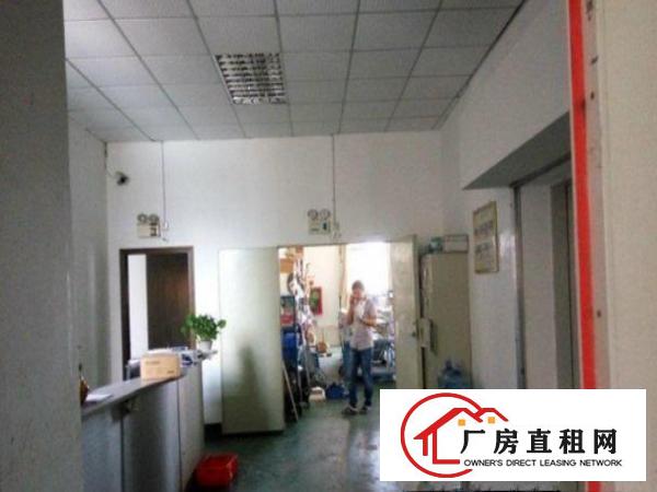 
		龙岗区爱联房东出租楼上900平方米标准厂房，急租，可分租
	