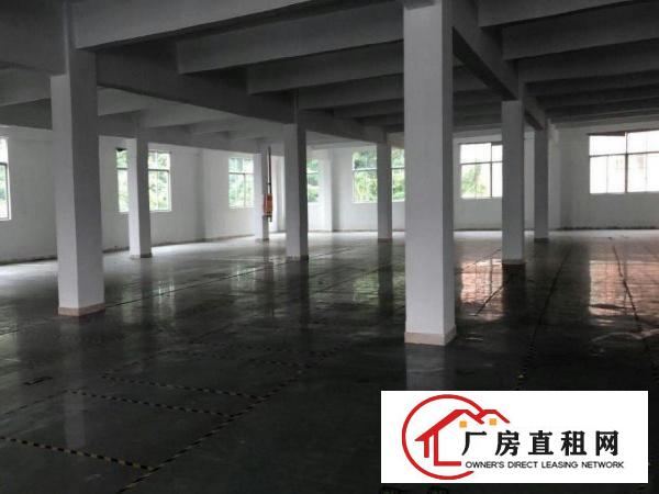 
		龙岗中心城新出独院面积6000平,大小面积可分
	