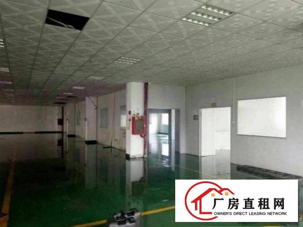
		出租龙岗区南约新出一楼1200平米带装修厂房，可分租
	