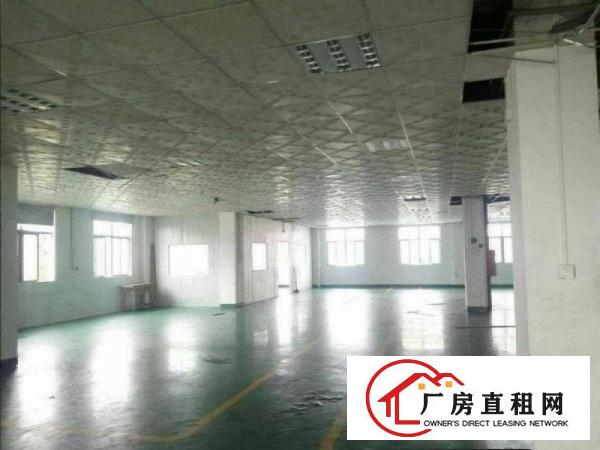 
		出租龙岗区南约新出一楼1200平米带装修厂房，可分租
	
