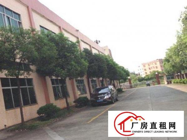 
		龙岗标准厂房2500平方出租可分租，周边环境优越
	