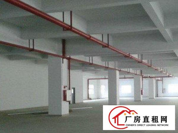 
		龙岗新出独门独院厂房1000平方起分租带喷淋消防
	