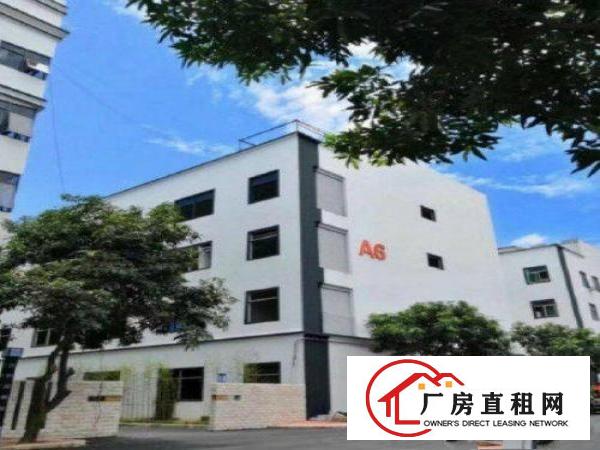 
		业园红本标准厂房出租2000平方
	