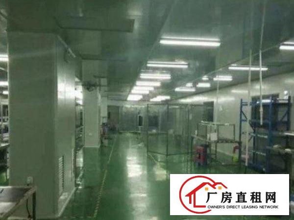 
		原房东出租500平厂房，价格便宜，光线十足
	