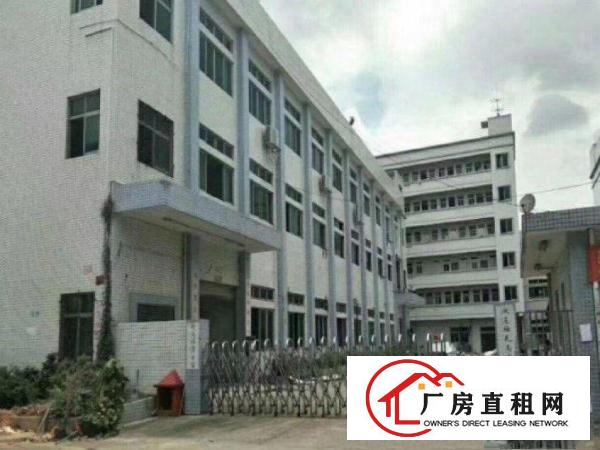 
		原房东出租500平厂房，价格便宜，光线十足
	
