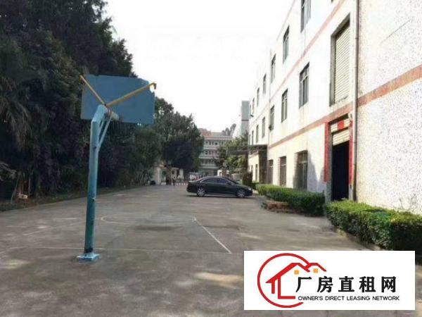 
		出租龙岗区龙岗墟标准一楼厂房1250平方米
	