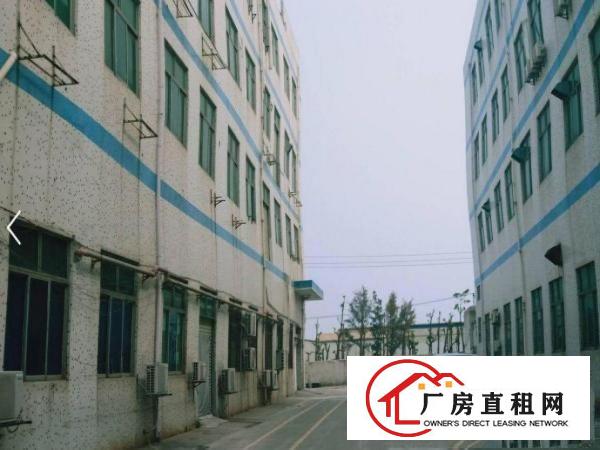 
		特价特价公明厂房出租700平厂房招租，公摊小
	
