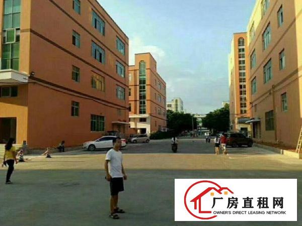 
		龙岗区南联新出500平米带装修厂房招租
	