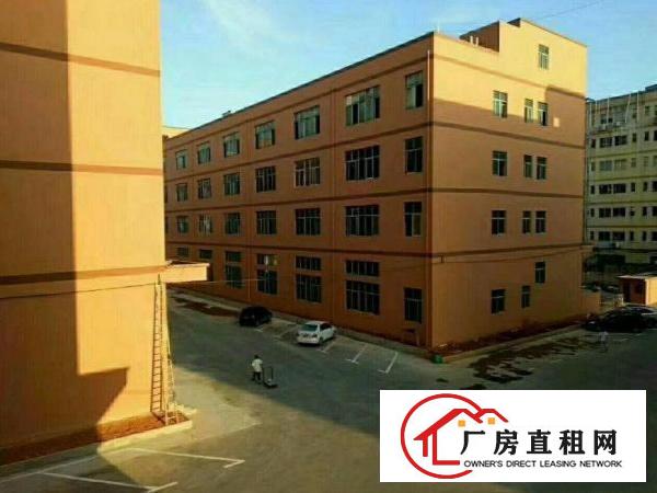 
		龙岗区南联新出500平米带装修厂房招租
	