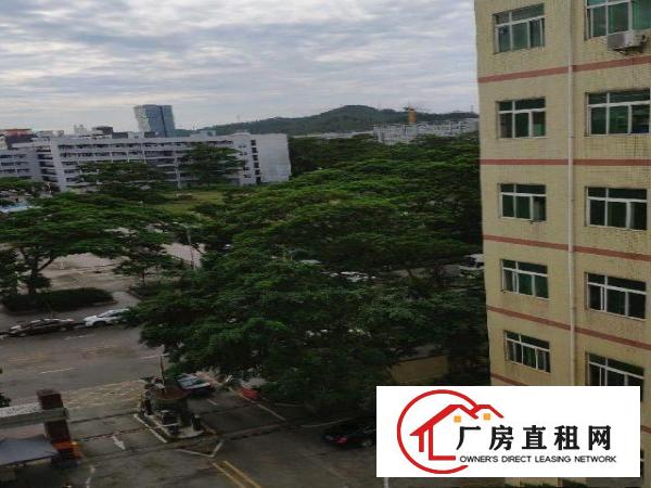 
		龙岗分租厂房6-800平米
	