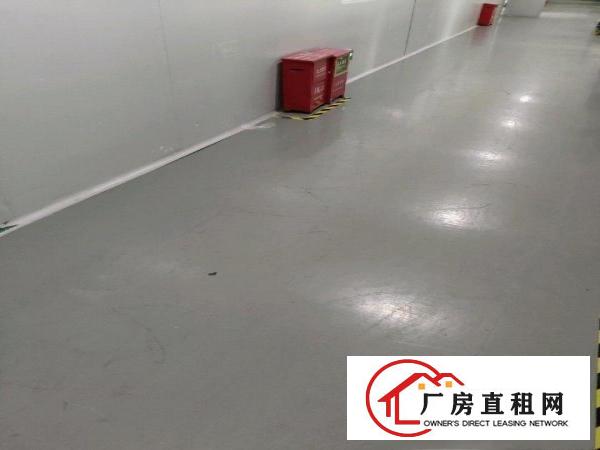 
		龙岗分租厂房6-800平米
	