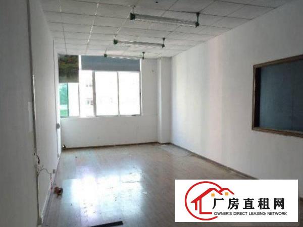 
		兴围工业园标准厂房出租实际590平租到即赚到
	