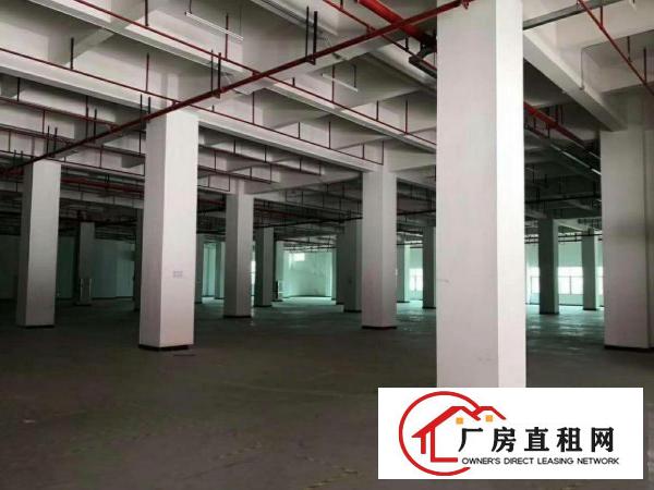 
		新出760平米精装修厂房，免转让费，租金实惠
	