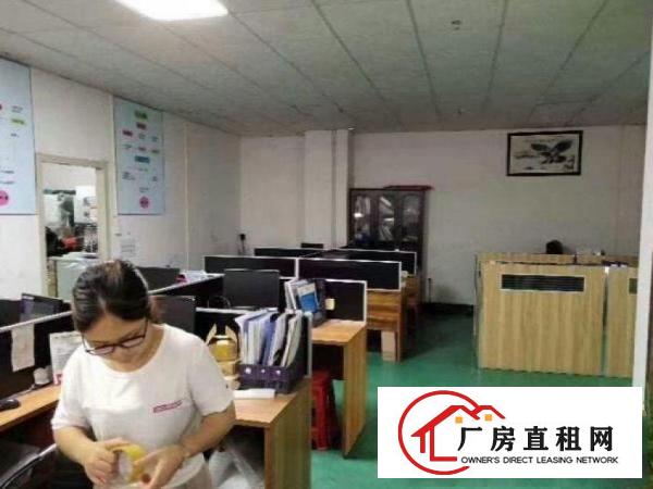 
		新出整栋标准厂房共四层800平
	