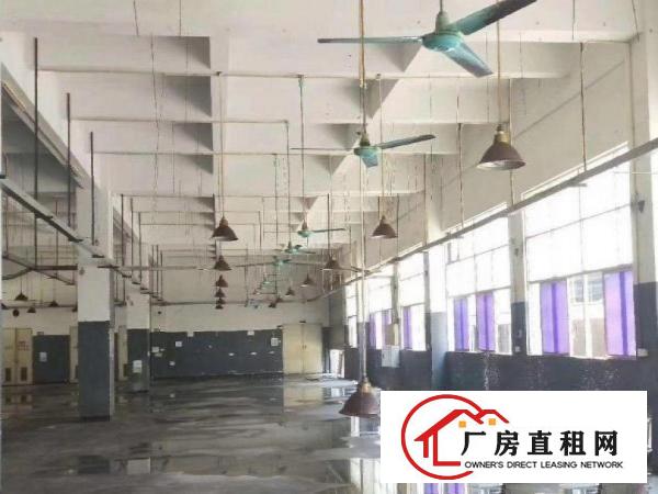 
		靠近松福大道新出独院原房东厂房630平
	
