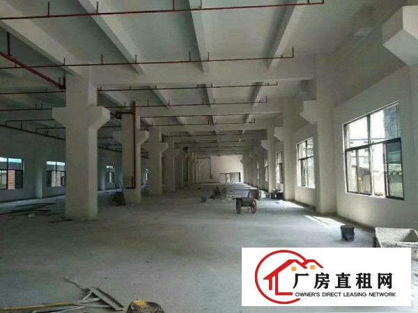 
		出租龙岗区嶂背工业区标准1楼950平方！带牛角！
	