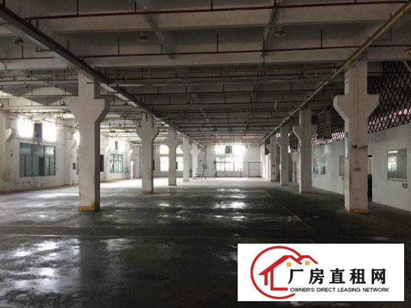 
		龙岗区同乐新空出3层8900平方厂房出租
	
