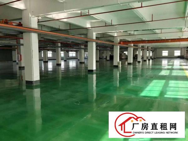 
		出租龙岗区中心城500平方一楼带现成办公室
	
