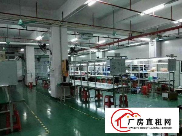 
		同乐工业区带红本楼上940平精装厂房出租
	