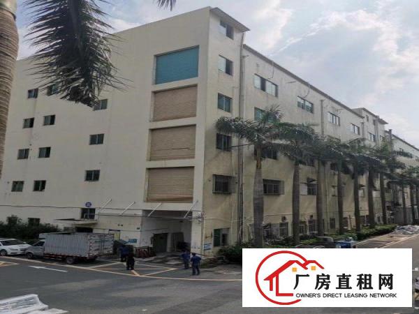 
		龙岗丹竹头地铁站附近厂房出租面积可跟据需求选择
	