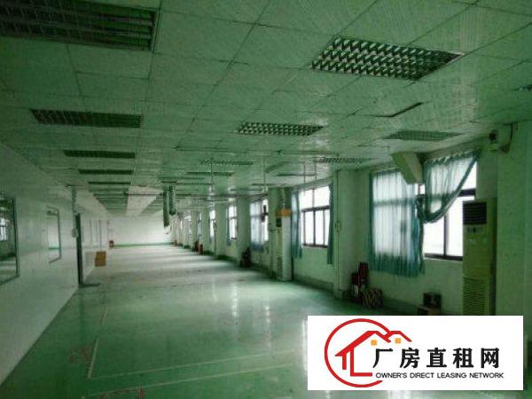 
		出租龙岗区吓坑新出小独院精装800平入住即生产
	