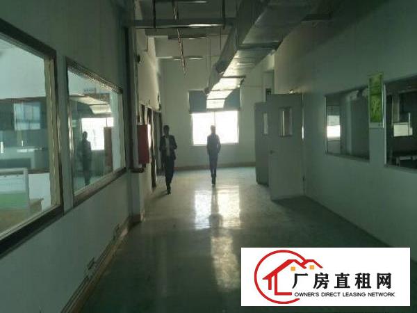 
		龙岗爱联地铁附近新出2500平带豪华装修厂房出租
	