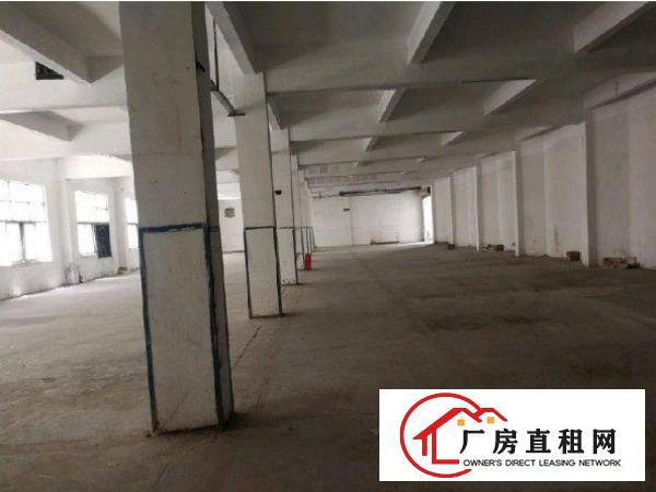 
		龙岗区同乐一楼1500平方出租
	