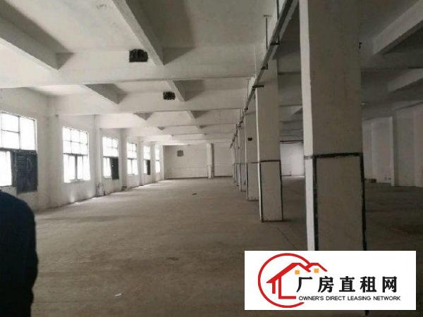 
		龙岗区同乐一楼1500平方出租
	