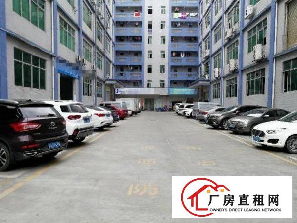 
		平路边新出1460平厂房招租，原房东带红本
	