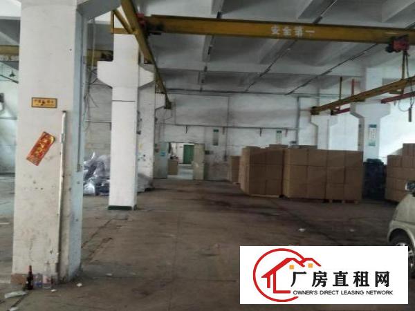 
		路边1楼500平带装修厂房出租
	