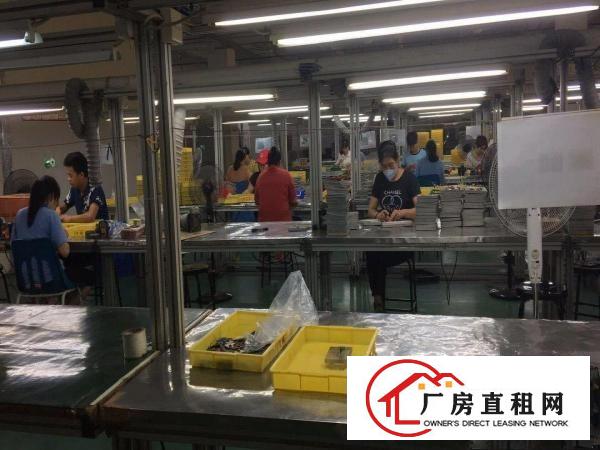
		出租龙岗区龙岗新生低山厂房分租消防安检全过
	