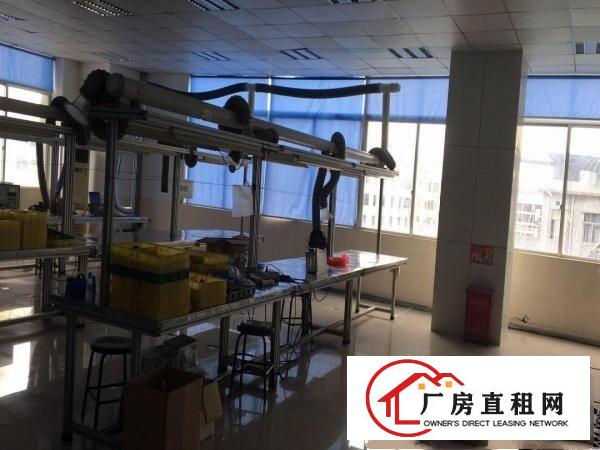 
		出租龙岗区龙岗新生低山厂房分租消防安检全过
	