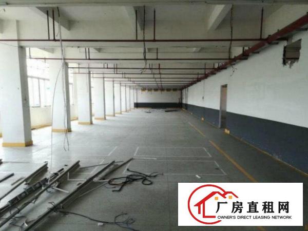 
		出租龙岗区南联一楼新厂房900平米
	