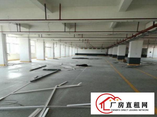 
		出租龙岗区南联一楼新厂房900平米
	