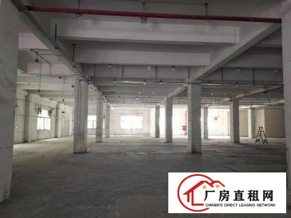 
		一手业主龙岗丹竹头地铁站附近厂房8800平米
	