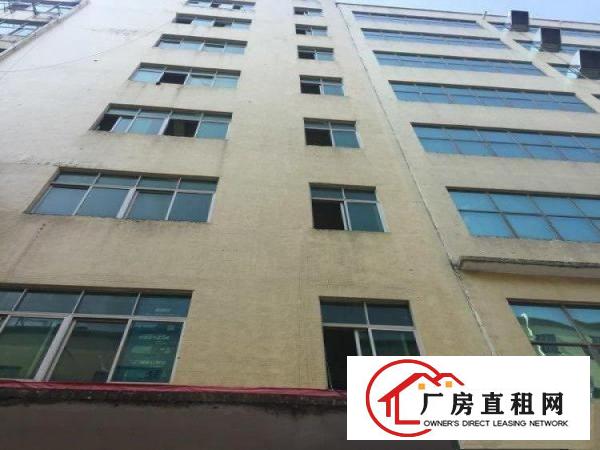 
		一手业主龙岗丹竹头地铁站附近厂房8800平米
	