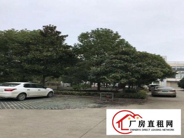 
		南约广场旁新出2楼550平方带装修厂房招租价格好谈！
	