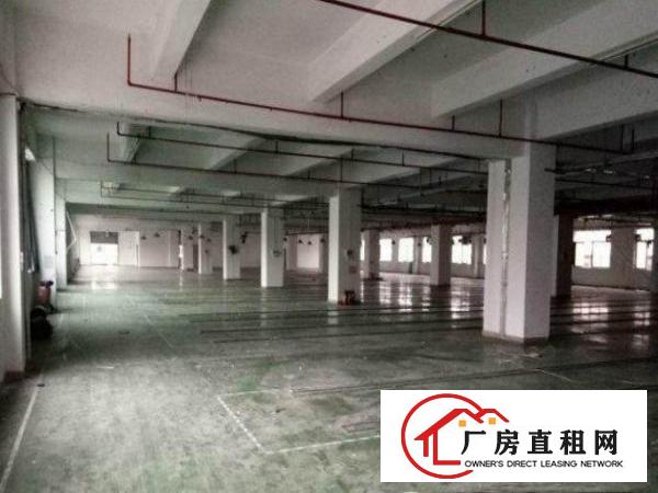 
		龙岗区龙城现有一楼1000平米厂房招租
	