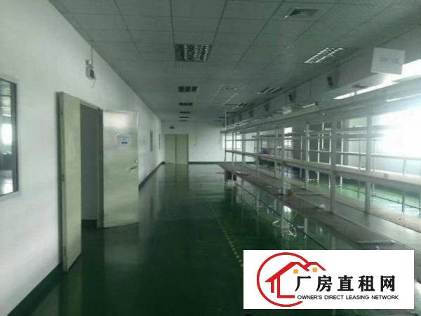 
		龙岗新空楼上装修厂房960平招租可分可整
	
