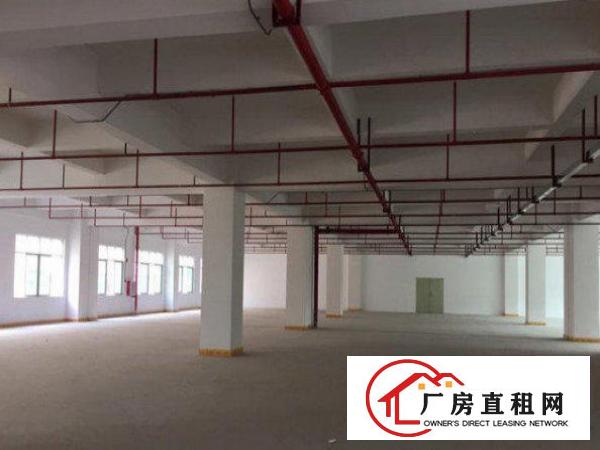 
		出租龙岗区龙岗同乐工业区豪华办公室装修二楼1200平方
	