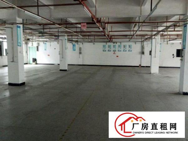
		出租龙岗区独院1000方厂房
	