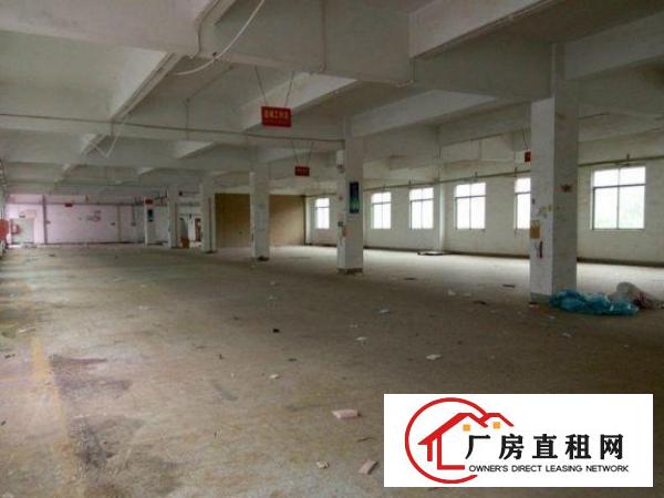 
		出租龙岗区龙东标准一楼厂房800平方米无公摊
	